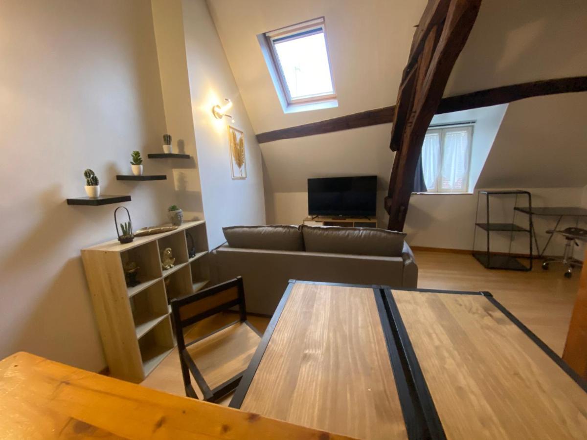 Apartament Le Puits Du Bourg Nevers Zewnętrze zdjęcie