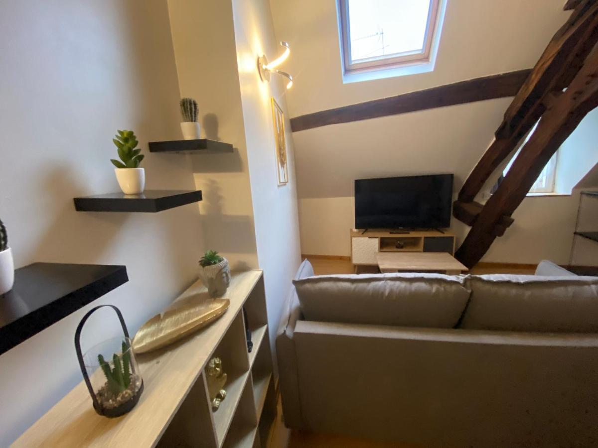 Apartament Le Puits Du Bourg Nevers Zewnętrze zdjęcie
