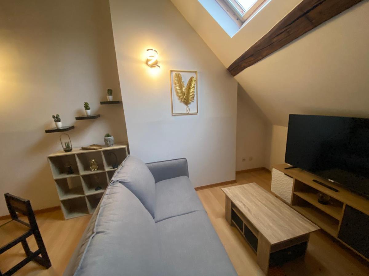 Apartament Le Puits Du Bourg Nevers Zewnętrze zdjęcie